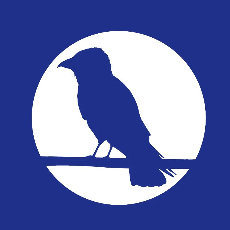 Corbeau sur une branche