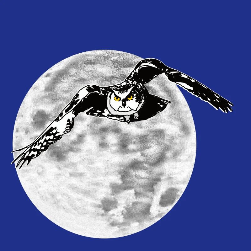 Eule vor Mond