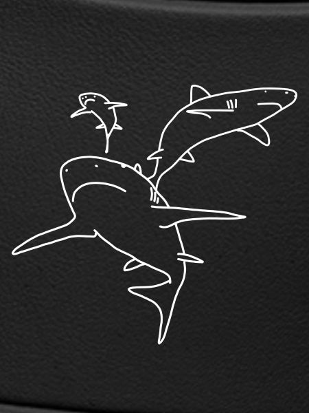 Requins