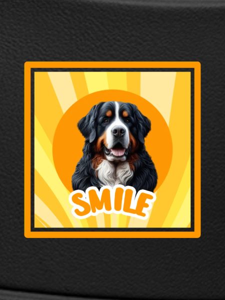 Bernese mountain dog