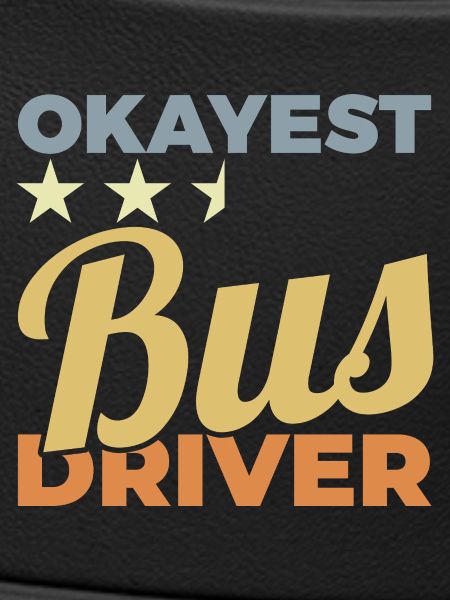 Average bus driver