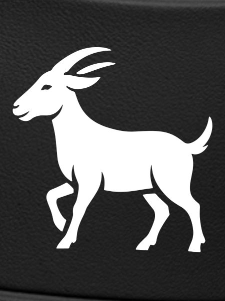 Bouc