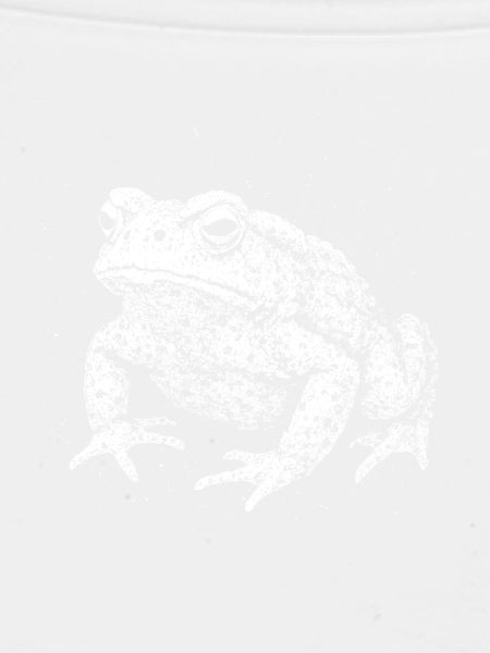 Toad