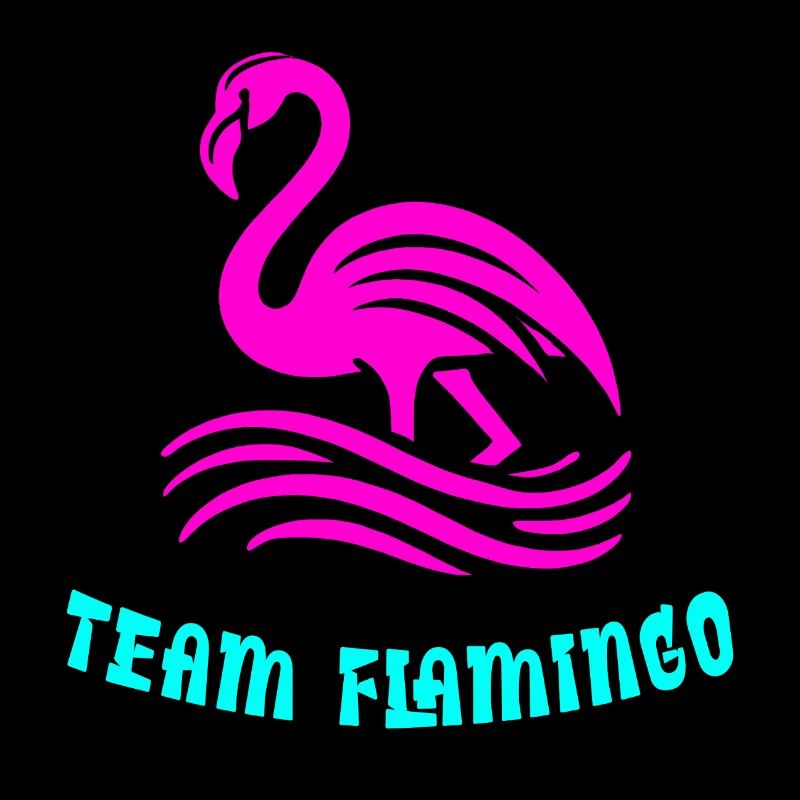 Team Flamingo