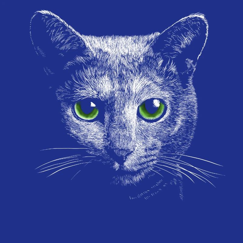 Chat