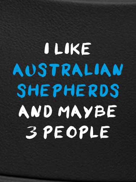 Australian Shepherd