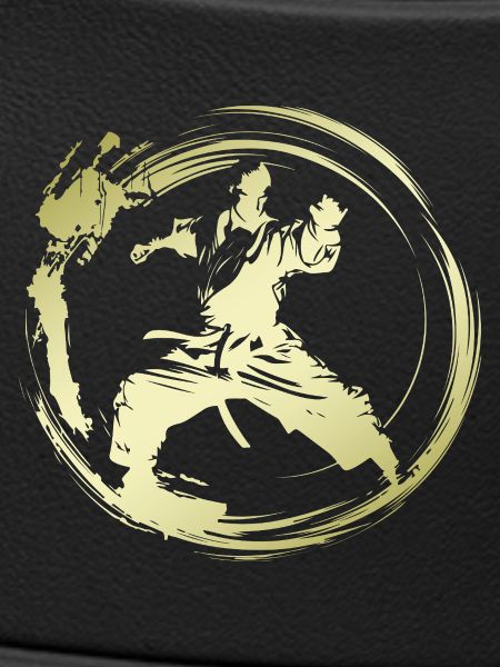 Karate Silhouette Fighter