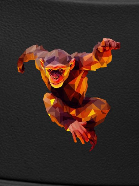 Polygon Orangutan Sprinter