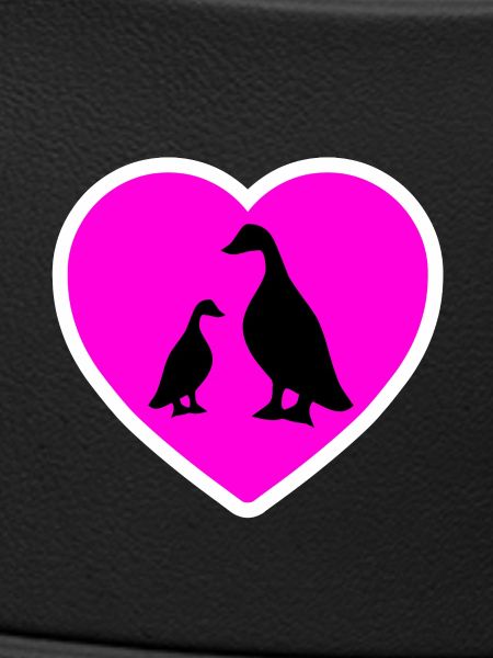 Canards