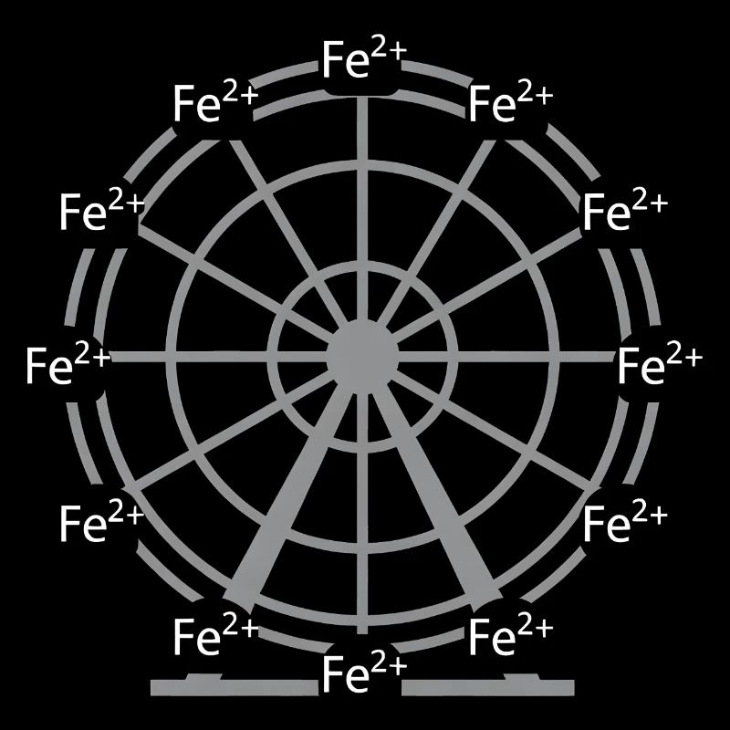 Conception scientifique de la chimie des ions Fer-ferreux Fe2+