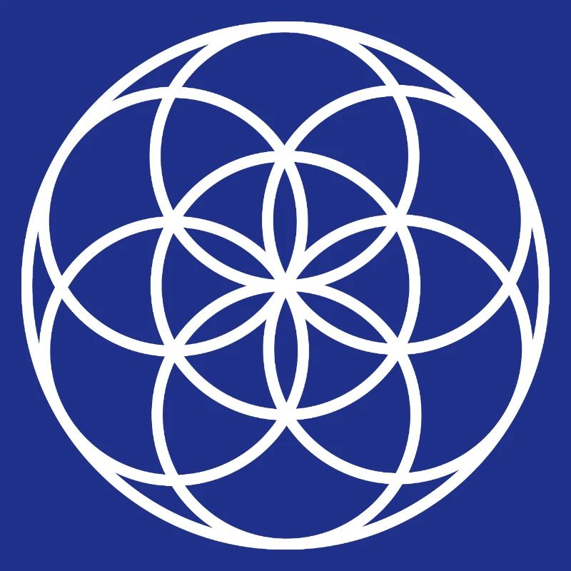 Samen des Lebens – Heilige Geometrie