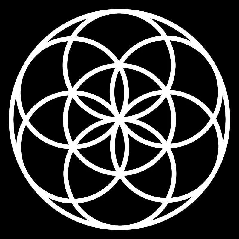 Samen des Lebens – Heilige Geometrie