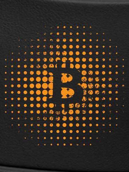 Bitcoin, Bitcoiner Gift Idea