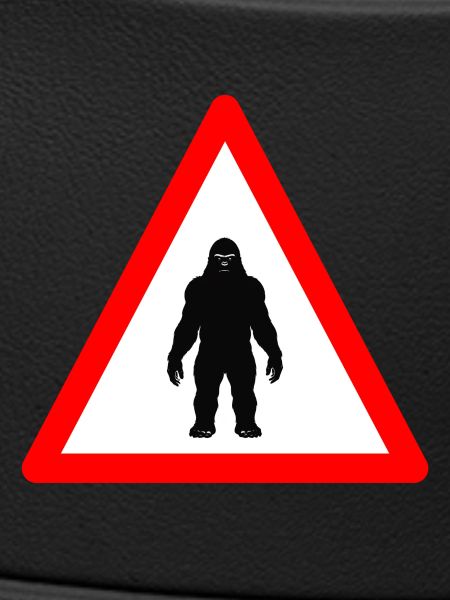 Attention au Sasquatch devant
