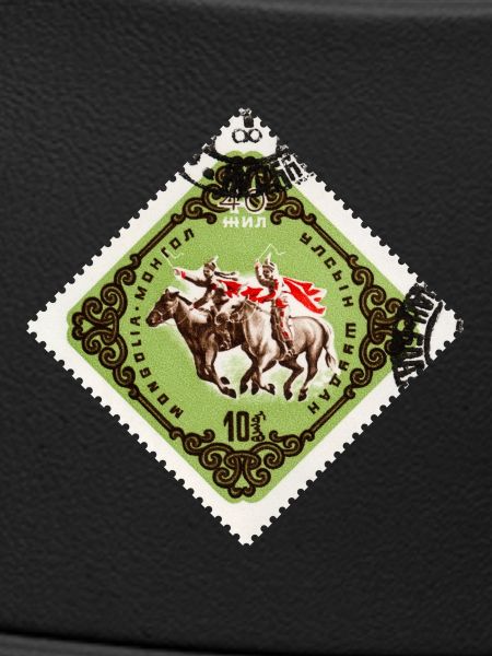 032_40RepMongola