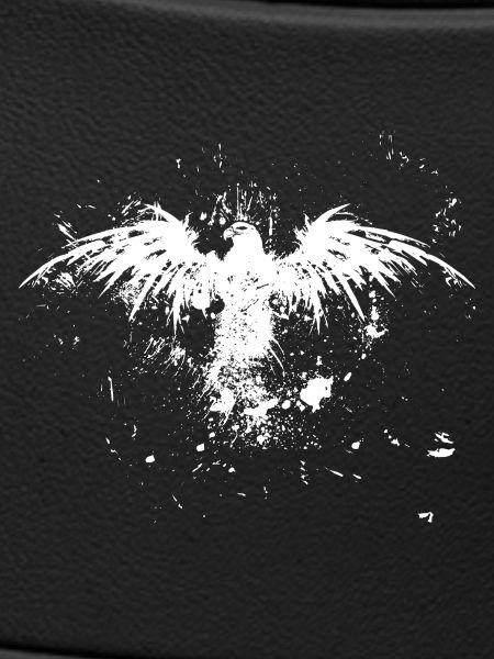 Grunge Eagle Rise