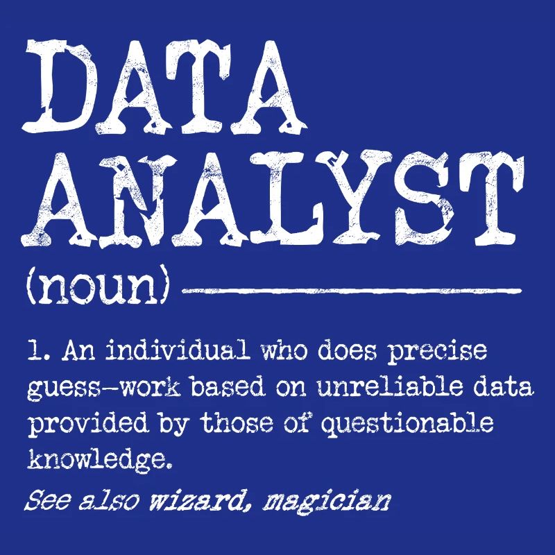 Data Analyst Meme Tee
