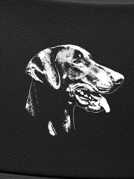 Dobermann Kopf