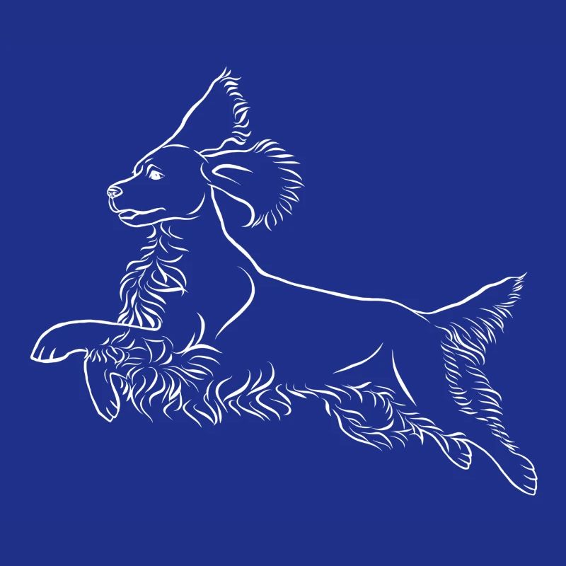Springer Spaniel