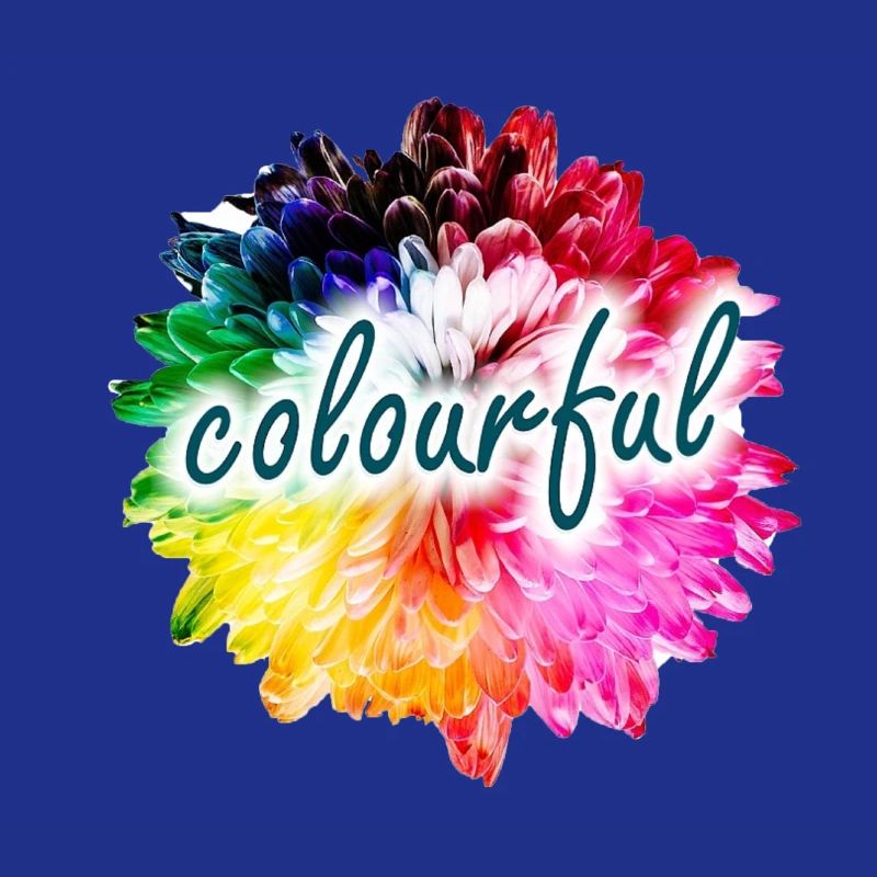 Regenbogenblume Farbexplosion