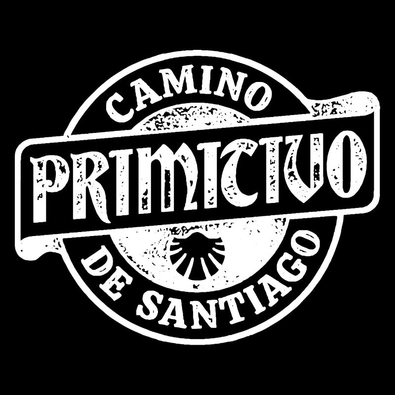 Camino Primitivo Pilgrim's Stamp | Santiago