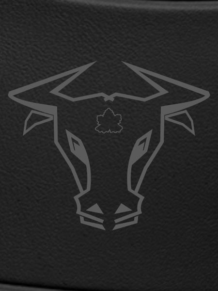 Stier_002a