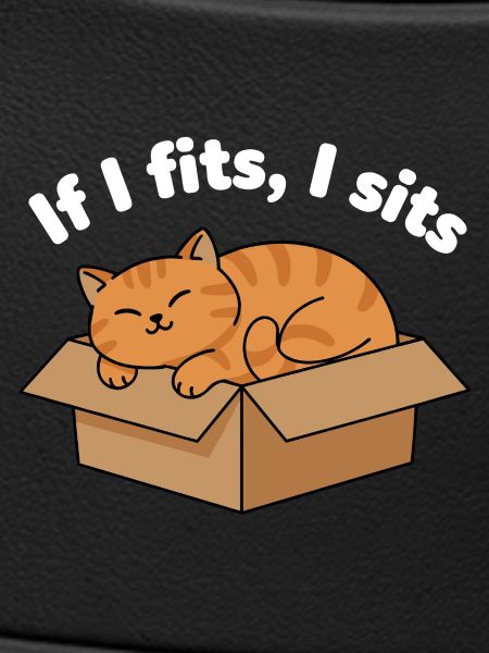 Katzenschnurren im Karton Meme