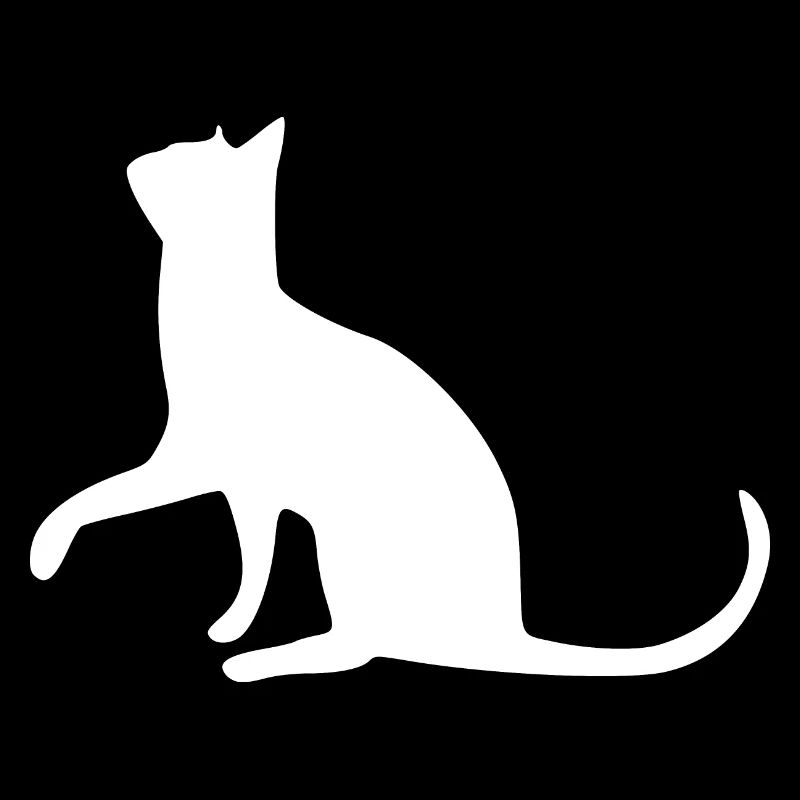 Chat chat chat chat chatte minette minou minou patte