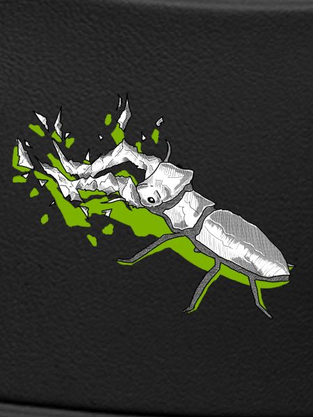 grüner drachen