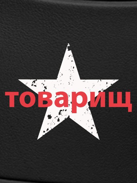 товарищ