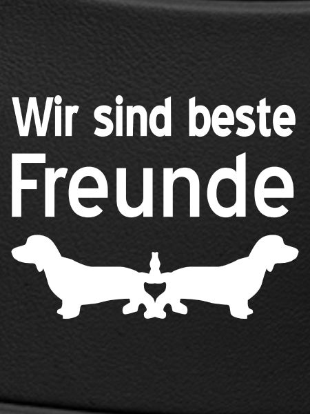 Dachshund