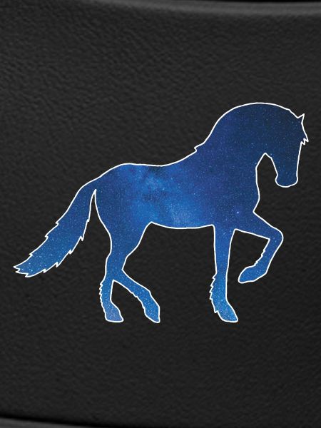 Pferd und Universum