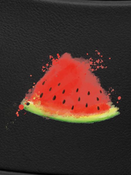 Melone - Wassermelone