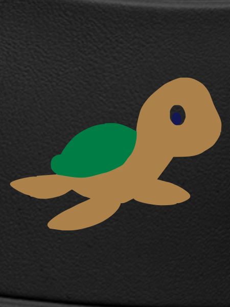 schildkroete
