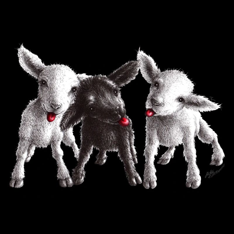 mouton effronté
