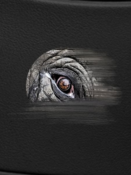 Elefant