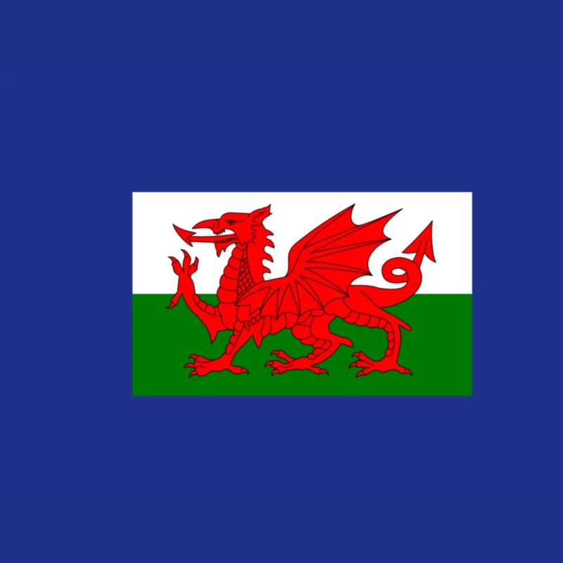 Drapeau du Pays de Galles