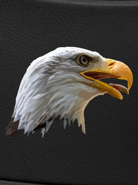 bald eagle