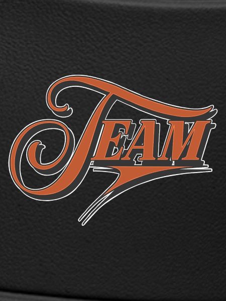 Team