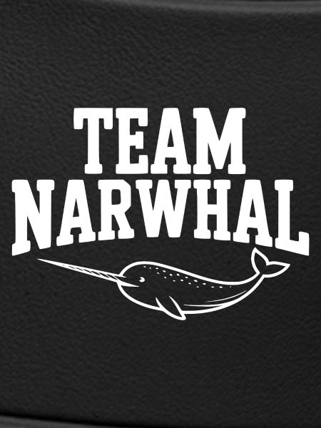 Team Narwhal