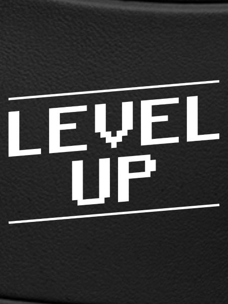 Level Up Spruch Gamer