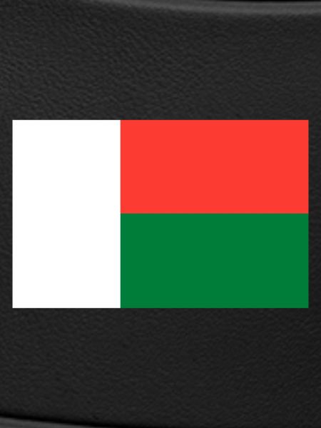 Madagascar flag