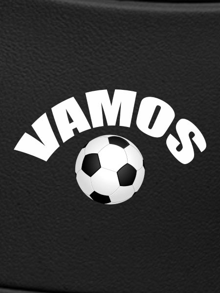 VAMOS