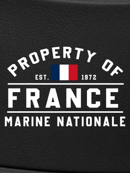 French Navy Ownership