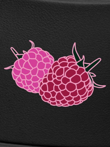 Raspberry Duo Pop Art
