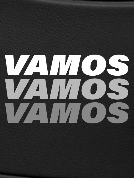 VAMOS
