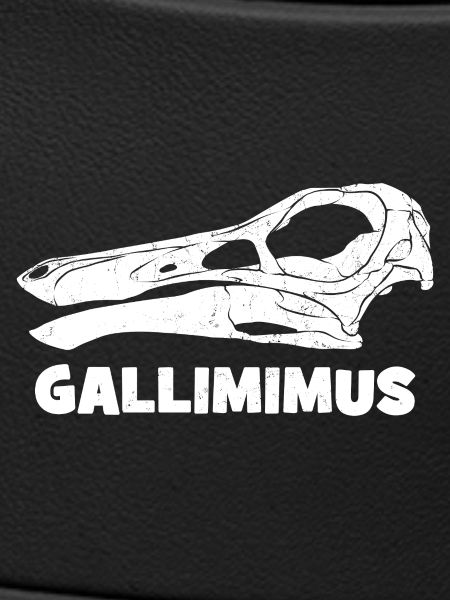 Gallimimus Schädel Fossil