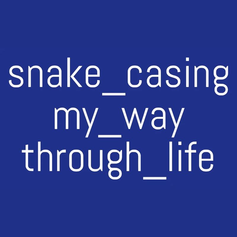 Snake Casing – Lebensweg | Informatiker | Nerd