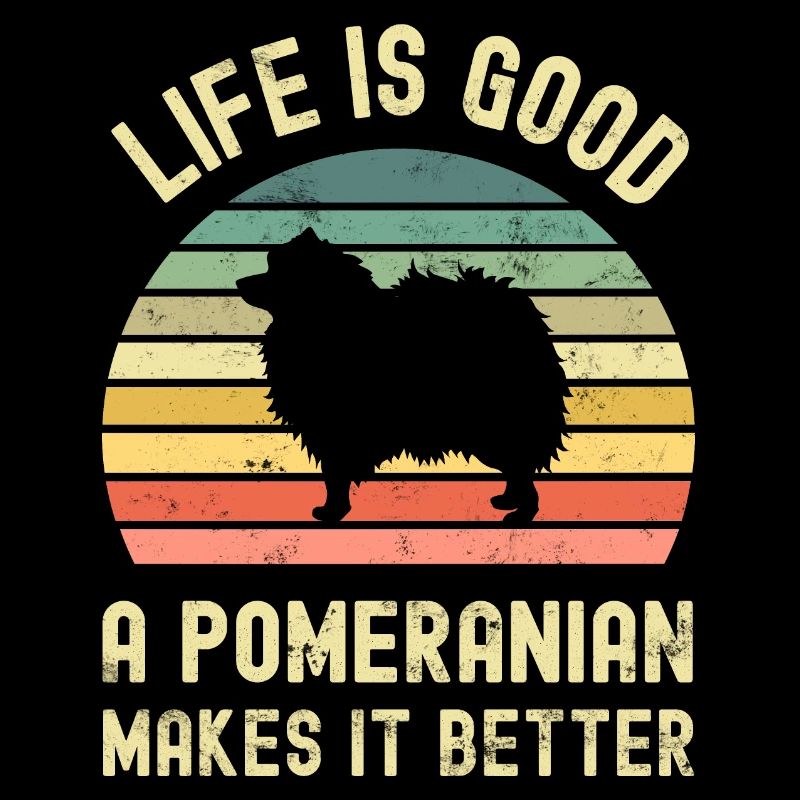 Hund Pomeranian