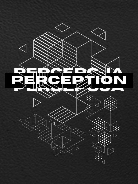 Perception Geometry Mystique